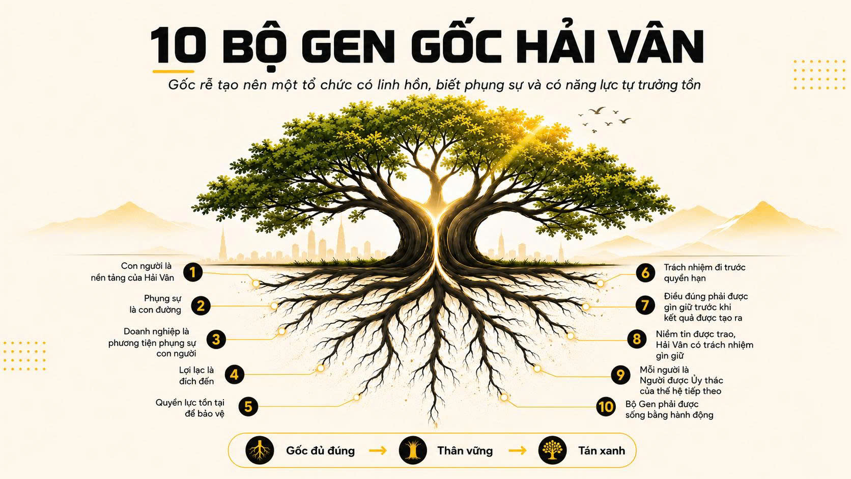 10 Bộ Gen Gốc Hải Vân